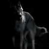 🐺