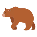 🐻
