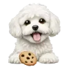 🐶