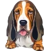 🐶