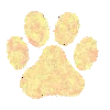 🐱