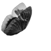 ⬛