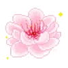 🌺
