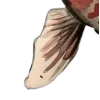 🎎