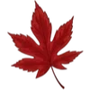 🍁
