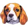 🐶