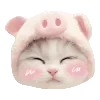 😊