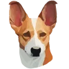 🐶