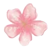 🌸