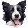 🐶