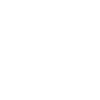 🚩