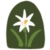 🌼