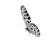 🦋