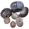 🐛