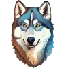 🐶