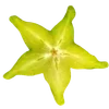 🌟