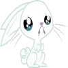 🐇