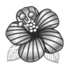 🌺