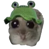 🐸