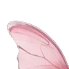 🦋