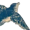 🕊️