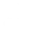 🚩