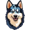 🐶