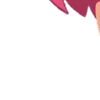 🌹