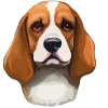 🐶