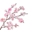 🌸
