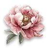 🌸