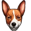 🐶