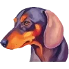 🐶