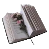 📖