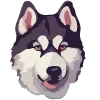 🐶