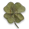 🍀