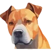 🐶