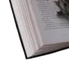 📖