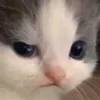 🤨