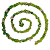 🌿