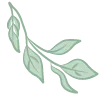 🌱