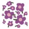 🌺
