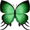 🦋