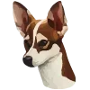 🐶