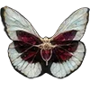 🦋