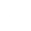 🚩