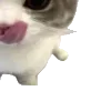 🍓