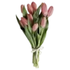 🌷