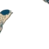 🕊️