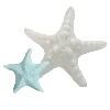 🌟